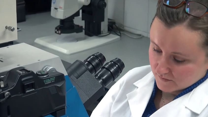 Berufsinfo-Video - Career Paths Inclusive - Molekularbiologe/Molekularbiologin in ÖGS